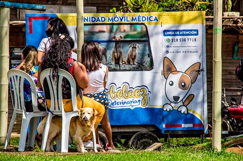 2000 mascotas serán esterilizadas en Popayán