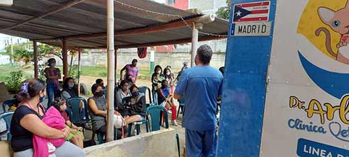 1200 esterilizaciones se han realizado a la fecha en el municipio de Popayán