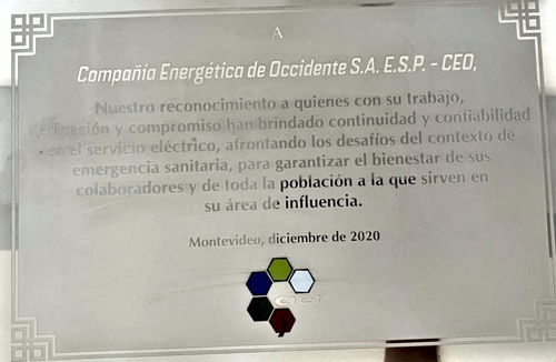 CEO gana reconocimiento por excelencia en el servicio durante el 2020 CEO gana reconocimiento por excelencia en el servicio durante el 2020