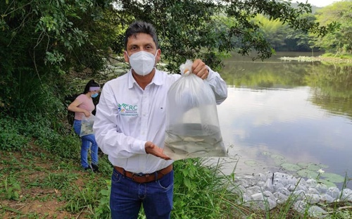 CRC siembra 1.500 sabaletas en humedal de la Hacienda Japio - Yesid González - Director CRC CRC siembra 1.500 sabaletas en humedal de la Hacienda Japio - Yesid González - Director CRC