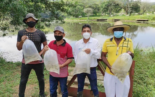 CRC siembra 1.500 sabaletas en humedal de la Hacienda Japio. CRC siembra 1.500 sabaletas en humedal de la Hacienda Japio.