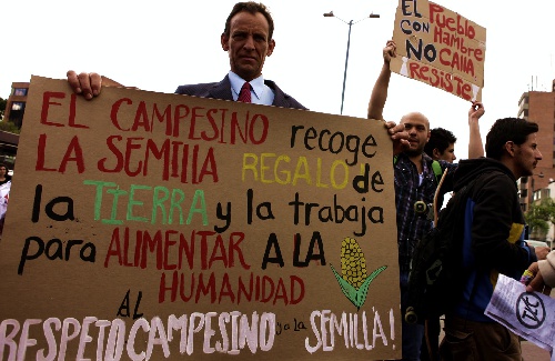 8 spoilers de la cuestión étnico-campesina en 2021