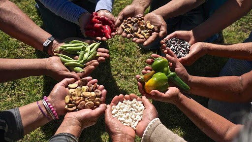 El referendo campesino y las políticas de protección a la soberanía alimentaria de la nación