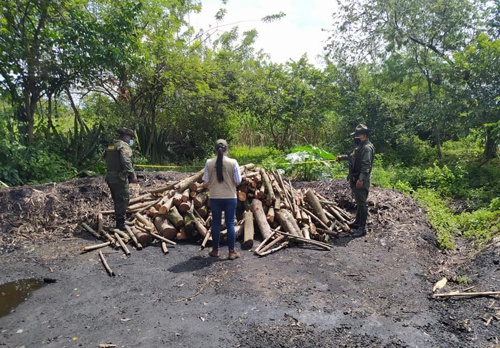 CRC decomisó carbón vegetal en el municipio de Padilla CRC decomisó carbón vegetal en el municipio de Padilla
