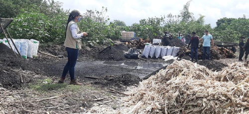 CRC decomisó carbón vegetal en el municipio de Padilla CRC decomisó carbón vegetal en el municipio de Padilla