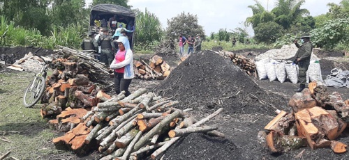 CRC y Policía decomisaron carbón vegetal en el municipio de Padilla CRC y Policía decomisaron carbón vegetal en el municipio de Padilla