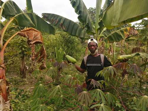 La huerta más grande de Cali se encuentra en el oriente de la ciudad