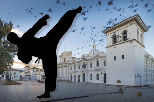 Popayán será sede del Torneo Nacional de Karate Popayán será sede del Torneo Nacional de Karate