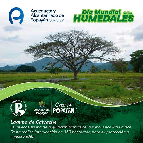 Día Mundial de los Humedales Día Mundial de los Humedales