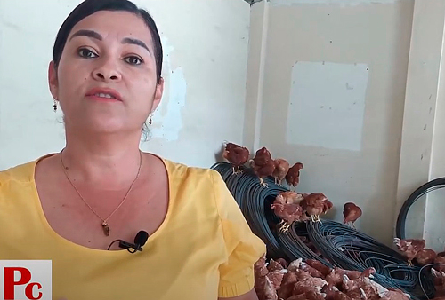 Martha Cecilia Velasco Guzmán