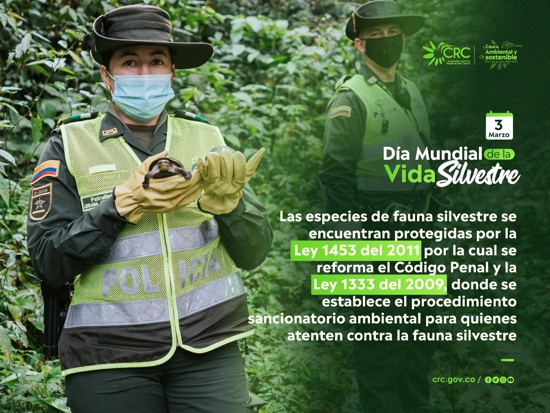 Día Mundial de la Vida Silvestre - CRC Día Mundial de la Vida Silvestre - CRC