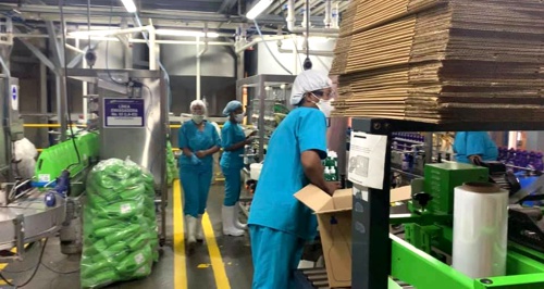 El empleo es la mejor herramienta para lograr el desarrollo en Puerto Tejada.