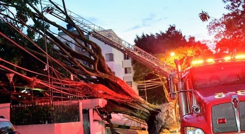 Fuertes lluvias dejan 12 árboles caídos y barrios inundados en Cali
