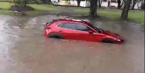 Fuertes lluvias dejan 12 árboles caídos y barrios inundados en Cali