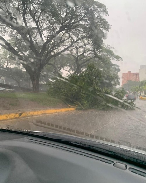 Fuertes lluvias dejan 12 árboles caídos y barrios inundados en Cali