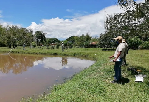 Implementan policultivo de peces en zona rural de Quilichao
