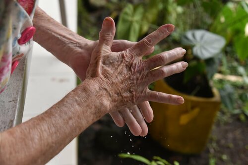 Iniciará vacunación con adultos mayores de 80 años no institucionalizados