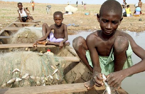 ¿La ley del perrero está vigente?