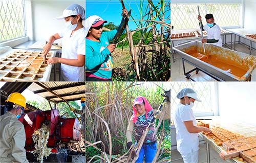 Gobierno Departamental avanza junto al sector panelero en la reactivación económica del Cauca Gobierno Departamental avanza junto al sector panelero en la reactivación económica del Cauca