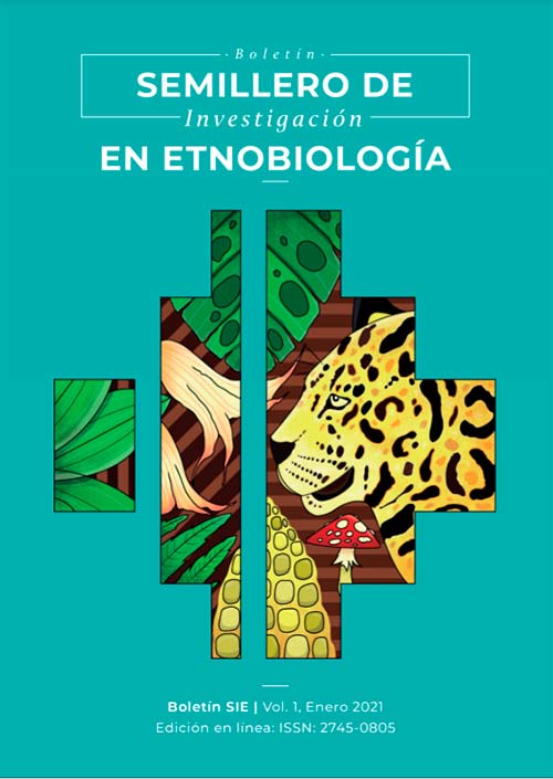 Semillero de Investigación en Etnobiología informa sobre sus dinámicas investigativas Semillero de Investigación en Etnobiología informa sobre sus dinámicas investigativas