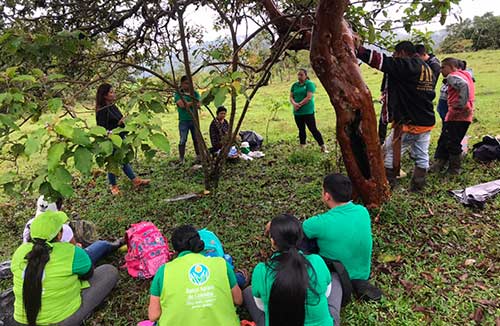Emcaservicios apoya reforestación de cuenca en el municipio de Bolívar Emcaservicios apoya reforestación de cuenca en el municipio de Bolívar