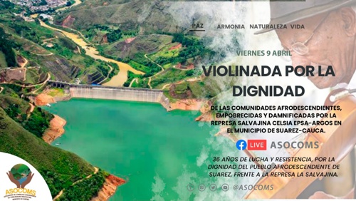 Violinada por la Dignidad: La Salvajina es una salvajada.
