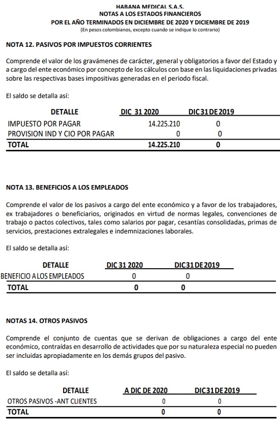 Notas a los Estados Financieros Habana Medical SAS