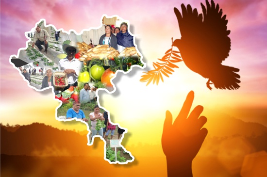 Por ahora construir paz territorial en el Cauca