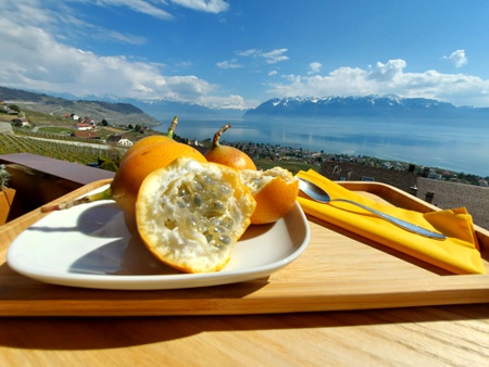 Una Granadilla frente a los Alpes. Una Granadilla frente a los Alpes.