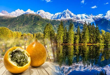 Una Granadilla frente a los Alpes Una Granadilla frente a los Alpes