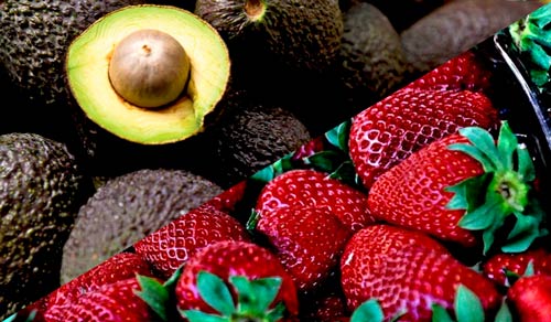 Incumplimientos en ejecución de proyectos agrícolas en el Cauca Incumplimientos en ejecución de proyectos agrícolas en el Cauca