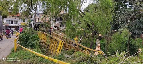 Riesgo por mal estado de Puente peatonal Riesgo por mal estado de Puente peatonal