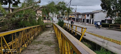 Riesgo por mal estado de Puente peatonal
