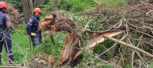 Riesgo por mal estado de Puente peatonal Riesgo por mal estado de Puente peatonal