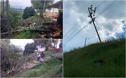 Caída de árbol causa ausencia del servicio de energía eléctrica en Popayán Caída de árbol causa ausencia del servicio de energía eléctrica en Popayán