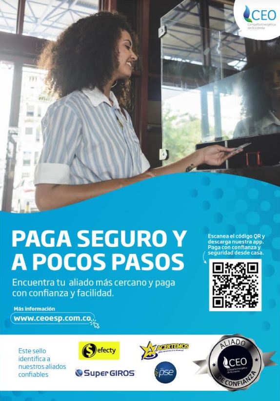 Paga seguro tus facturas CEO con nuestros aliados confiables