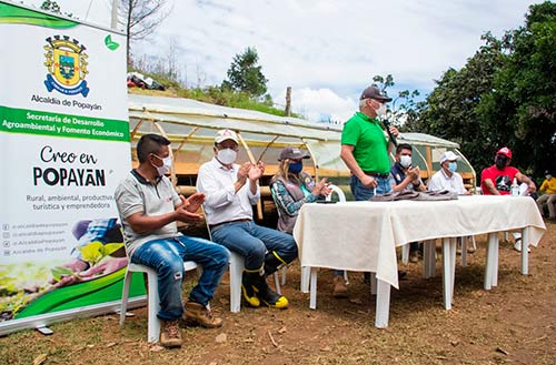 Alcaldía de Popayán apoya la caficultura familiar para la reactivación económica Alcaldía de Popayán apoya la caficultura familiar para la reactivación económica