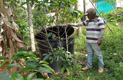 Huertas caseras fortalecen seguridad alimentaria en Quilichao Huertas caseras fortalecen seguridad alimentaria en Quilichao