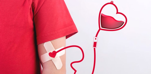 Más de 800 mil personas donaron sangre