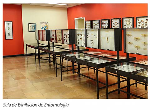 Exposición del Museo de Historia Natural en Santander de Quilichao