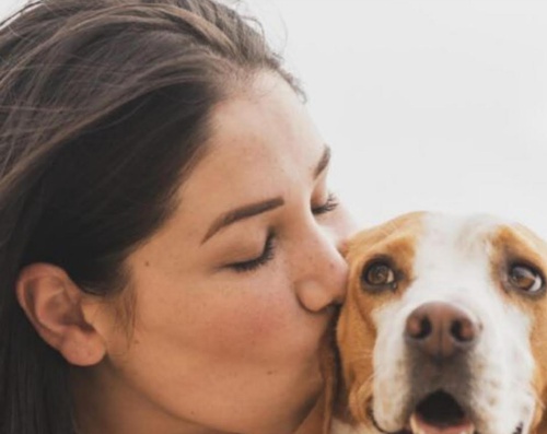 Aumenta protección a mascotas en la pandemia Aumenta protección a mascotas en la pandemia