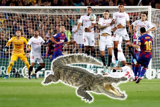 El cocodrilo