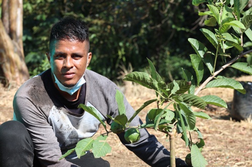 Jóvenes se rehabilitan sembrando vida en Quilichao Jóvenes se rehabilitan sembrando vida en Quilichao