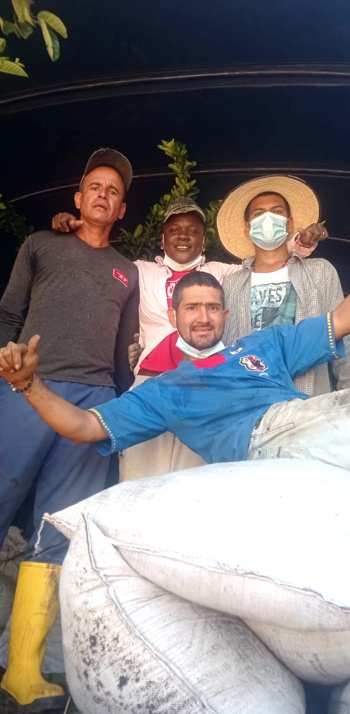 Jóvenes se rehabilitan sembrando vida en Quilichao Jóvenes se rehabilitan sembrando vida en Quilichao