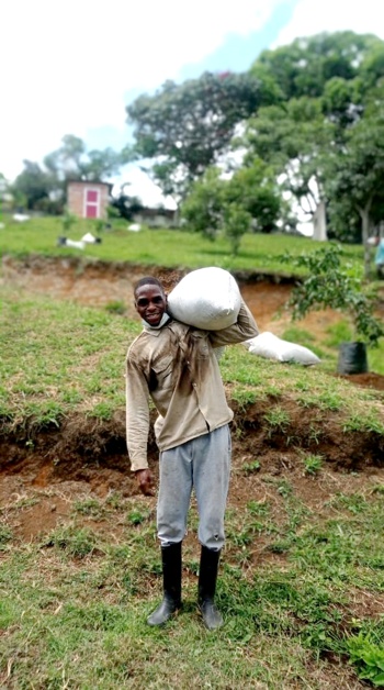 Jóvenes se rehabilitan sembrando vida en Quilichao Jóvenes se rehabilitan sembrando vida en Quilichao