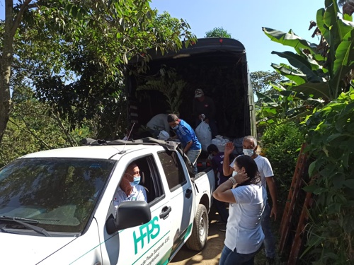 Jóvenes se rehabilitan sembrando vida en Quilichao Jóvenes se rehabilitan sembrando vida en Quilichao
