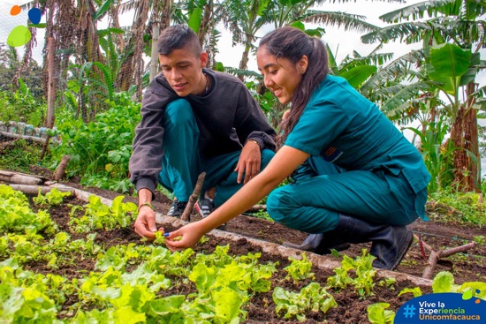 Llega a Unicomfacauca nuevo programa en Ingeniería Agroambiental Llega a Unicomfacauca nuevo programa en Ingeniería Agroambiental
