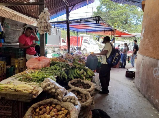 El precio de olvidar nuestras raíces