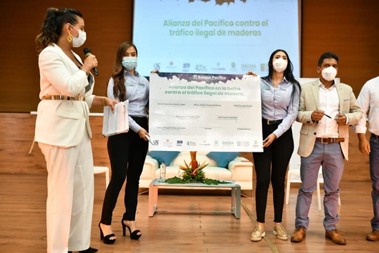Se ratifica Alianza del Pacifico contra el Tráfico Ilegal de Maderas Se ratifica Alianza del Pacifico contra el Tráfico Ilegal de Maderas