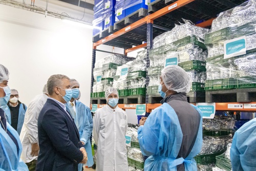 Ya se puede exportar legalmente cannabis